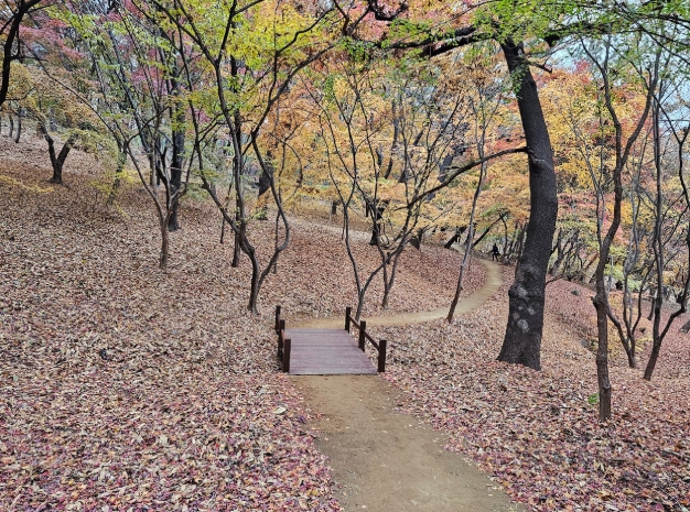 수성구 범어공원, 산책로 조성“다같이 한바퀴 걸어봐요”