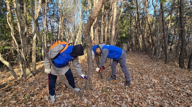 거제시, 친환경 산림지킴이 산울림 봉사단  소나무 재선충병 예방 수간주사 및 산불예방 활동 재개