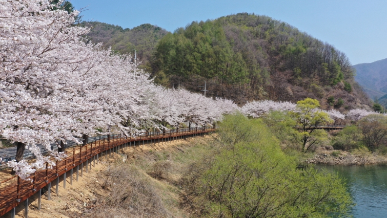 물야저수지 전경