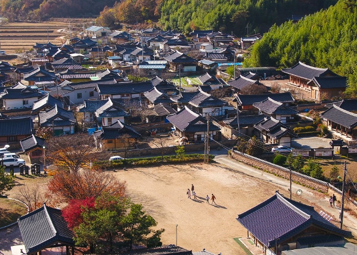 개실마을 전경