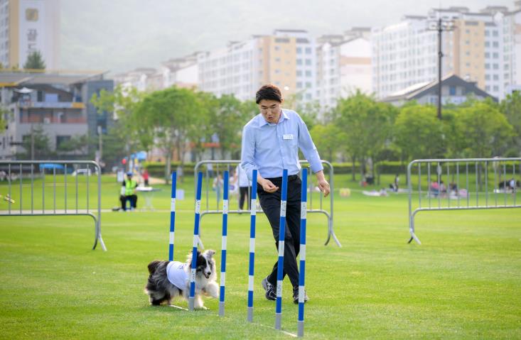 2024년 댕댕나이트런에 함께한 노관규 순천시장