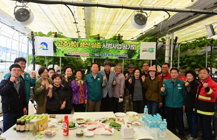 봉화군, 고추냉이 생산 기반조성으로 경쟁력 제고! 봉화군, 고추냉이 생산 기반조성으로 경쟁력 제고!